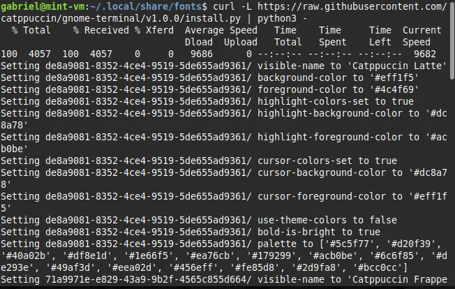 Terminal do GNOME, em que se executa o script de instalação do tema Catppuccin.