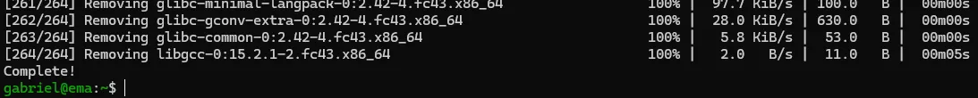 Terminal do Fedora, quarta captura da execução do comando "sudo dnf upgrade".